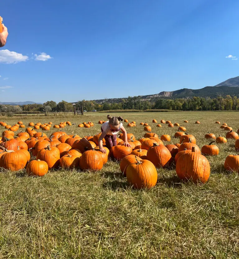 Fall in Salida Colorado