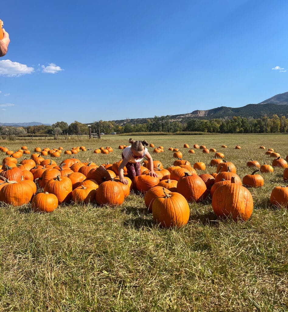 Child playing on pumpkins in fall in salida colorado